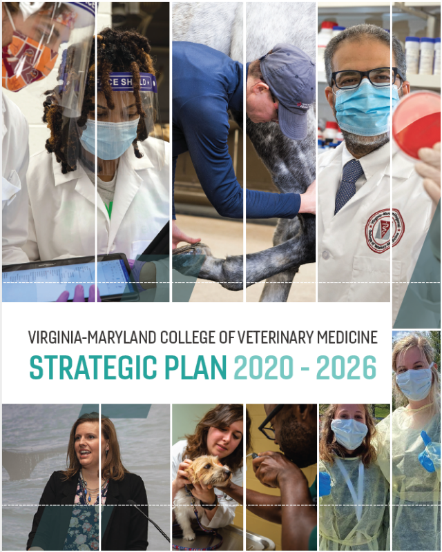 VMCVM, Strategic Plan 2020-2026 cover photo.